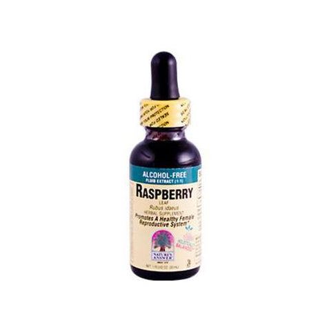 Nature's Answer Raspberry Leaf Alcohol Free - 1 Fl Oz