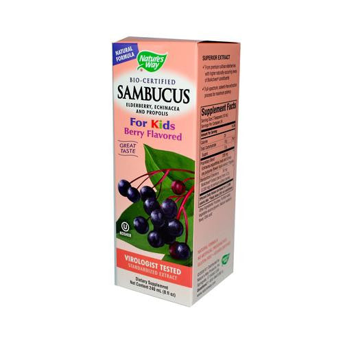 Nature's Way Original Sambucus For Kids - Standardized Elderberry - 8 Fl Oz