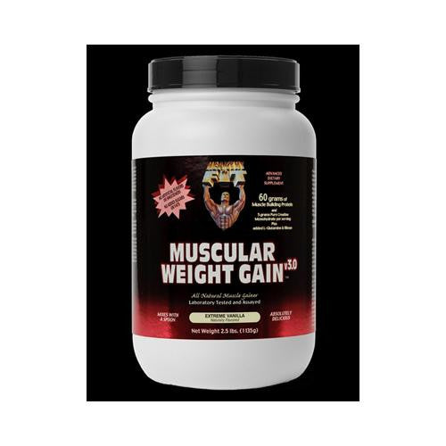 Healthy 'n Fit Muscular Weight Gain 2 - Vanilla - 2.5 Lb.