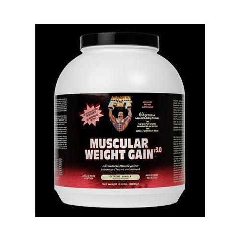 Healthy 'n Fit Muscular Weight Gain 2 - Vanilla - 4.4 Lb.