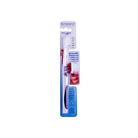 Terradent 31 Toothbrush + Refill Soft - 1 Toothbrush - Case Of 6