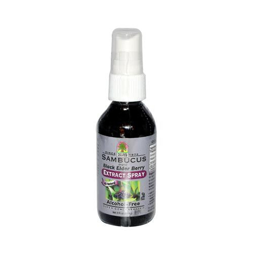 Nature's Answer Sambucus Nigra Black Elder Berry Extract Spray - 2 Fl Oz