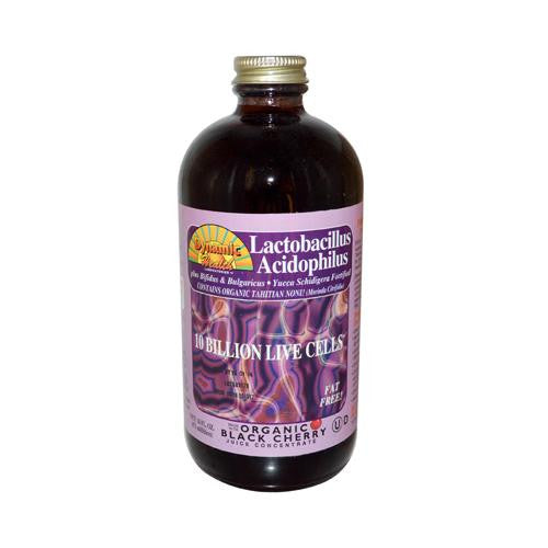 Dynamic Health Lactobacillus Acidophilus Black Cherry - 16 Fl Oz