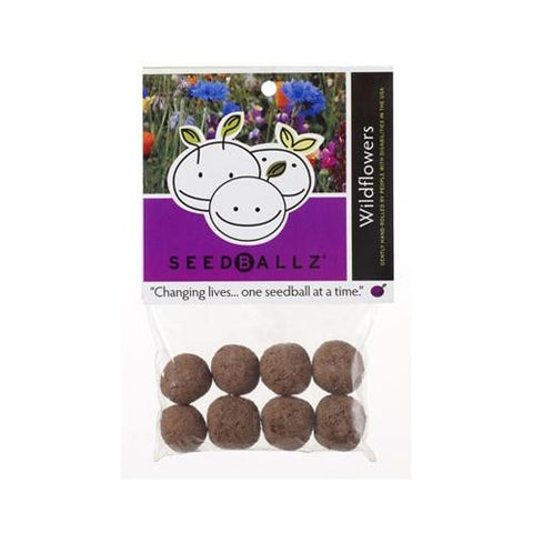 Seedballz Wildflower - 8 Pack