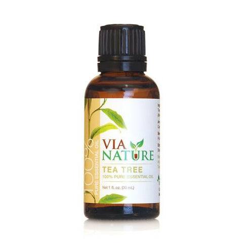 Via Nature Essential Oil - 100 Percent Pure - Tea Tree - Single - 1 Fl Oz